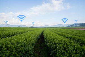 The rural broadband rollout is coming The rural broadband rollout is coming