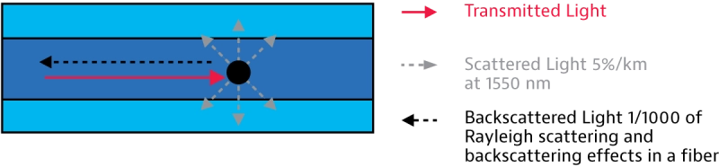 Rayleigh scattering and backscattering effects in fiber Rayleigh scattering and backscattering effects in fiber
