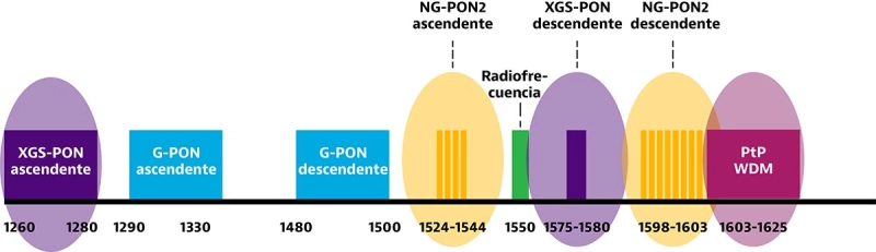 PON Wavelength Allocation and Coexistence PON Wavelength Allocation and Coexistence