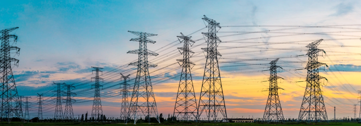 Solutions for Electric Power Operators